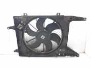 Kühlerventilator 7701070217 Renault Megane (BA) Schrägheck 5-drs 1.9dCi (F9Q-732)