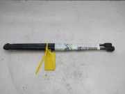 Gasdruckfedern Set Hinten 8200051750 Renault MEGANE II BERLINA 3P Luxe Privilege 101 CV / 74 KW