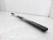 Gasdruckfedern Set Hinten 46744596 Fiat Punto II (188) Schrägheck 1.2 60 S (188.A.4000)