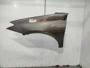 Kotflügel Links Vorne 631010032R Renault Laguna III (BT) Schrägheck 5-drs 1.5 dCi 110 (K9K-780)