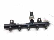 Einspritzdüsen Düsenstock 9656391180 Citroën C5 III Berline (RD) Schrägheck 2.0 HDiF 16V (DW10BTED4(RHR))