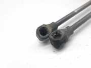 Gasdruckfedern Set Hinten 8731C2 Citroën CITROEN XANTIA BERLINA 1.9 TD Seduction 90 CV / 66 KW