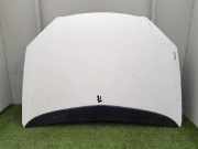 Motorhaube 7901H9 Citroën C5 Berline (DC) Schrägheck 2.0 HDi 110 (DW10ATED(RHZ))