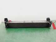 Ladeluftkühler 144960006R Renault Megane III Berline (BZ) Schrägheck 5-drs 1.5 dCi 105 (K9K-832(K9K-G8))