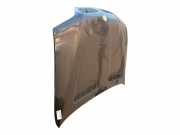 Motorhaube 41617121102 BMW X5 (E53) SUV 3.0d 24V (M57N-D30(306D2))