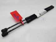 Gasdruckfedern Set Hinten XS41F406A10AF Ford Focus 1 Limousine 1.8 TDCi 100 (FFDA)