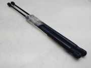 Gasdruckfeder Set Vorne 32206883 Volvo XC40 (XZ) SUV 2.0 D3 16V (D4204T16)