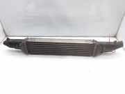 Ladeluftkühler 51785221 Fiat (110) Emotion 90 CV / 66 KW