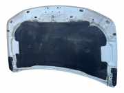 Motorhaube 5730065811000 Suzuki Grand Vitara II (JT) SUV 1.9 DDiS (F9Q)