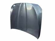 Motorhaube 41617207194 BMW 5 serie (F10) Limousine 525d xDrive 16V (N47-D20D)