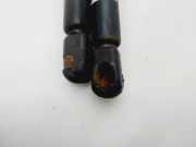 Gasdruckfedern Set Hinten XS41F406A10AF Ford Focus 1 Schrägheck 1.8 TDCi 115 (F9DA)