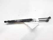 Gasdruckfedern Set Hinten 24463829 Opel Astra H (L48) Schrägheck 5-drs 1.6 16V Twinport (Z16XE1)