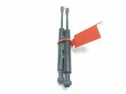 Gasdruckfeder Set Vorne 51238402551 BMW X5 (E53) SUV 3.0d 24V (M57-D30(306D1))