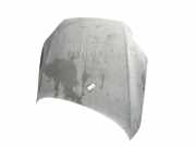 Motorhaube 4L0823029A Audi Q7 (4LB) SUV 3.0 TDI V6 24V (BUG)