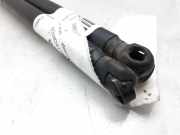 Gasdruckfedern Set Hinten 8178007010 Renault Grand Scénic II (JM) Großraumlimousine 1.9 dCi 120 (F9Q-812)