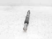 Kraftstoff-Injector 059130201F Audi A4 Avant (B7) Kombi 2.5 TDI V6 24V (BDG)