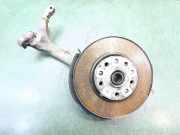 Achsschenkel Halter Links Vorne 8E0407253H Audi A4 (B7) Limousine 2.0 TDI 16V (BLB)