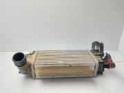 Ladeluftkühler L1BG6D624AB Ford Fiesta 7 Schrägheck 1.0 EcoBoost 12V Hybrid 155 (BZJA)