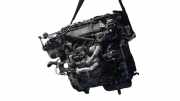 Motor T1D Ford LIM. (CB8) Edition 116 CV / 85 KW