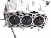 Zylinderkopf 045103373H Seat BERLINA (6L2) 1.4 TDI 80 CV / 59 KW