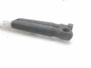 Gasdruckfedern Set Hinten 1460415 Ford Fiesta 5 (JD/JH) Schrägheck 1.3 (A9JA)