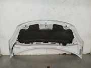 Motorhaube 7901R1 Citroën C3 (SC) Schrägheck 5-drs 1.6 BlueHDI 75 (DV6FE(BHW))