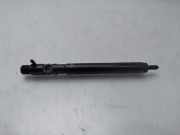 Kraftstoff-Injector A6650170121 SsangYong Rodius Großraumlimousine 2.7 270 Xdi 20V 4x2 (M665.925(Euro 4))