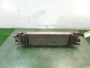 Ladeluftkühler 5S6H9L440AD Ford Fiesta 5 (JD/JH) Schrägheck 1.6 TDCi (HHJB)