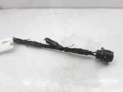 Kraftstoffverteiler 038971803 Seat Leon (1P1) Schrägheck 5-drs 1.9 TDI 105 (BKC)