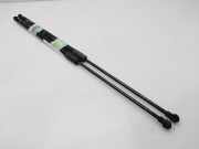 Gasdruckfedern Set Hinten 654718926R Dacia Duster (HS) SUV 1.5 dCi (K9K-658(K9K-G6))