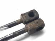 Gasdruckfedern Set Hinten 7700828451 Renault Megane (BA) Schrägheck 5-drs 1.4 16V (K4J-750)