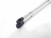 Gasdruckfedern Set Hinten 873193 Peugeot BERLINA 1.1 Mito 60 CV / 44 KW