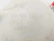 Ausgleichbehälter - 1K0121407A Volkswagen Caddy IV Van 2.0 TDI 102 (DFSD) DFSD