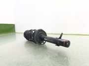 Stoßdämpfer Rechts Vorne B000771380 Citroën C1 Schrägheck 1.0 12V VVT-i (1KR-FE(CFB))