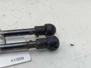 Gasdruckfedern Set Hinten 689500H040 Peugeot Active 82 CV / 60 KW