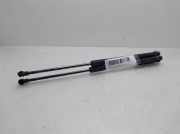Gasdruckfedern Set Hinten 51247239871 BMW 1 serie (F20) Schrägheck 5-drs 114d 1.6 16V (N47-D16A)