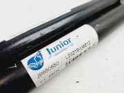 Gasdruckfedern Set Hinten 7700303186 Renault Kangoo (KC) Großraumlimousine 1.9 D 65 (F8Q-632)