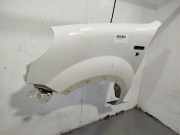 Kotflügel Links Vorne 7751718631 Renault Kangoo (KC) Großraumlimousine 1.9 dCi 4x4 85 (F9Q-790)