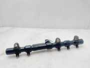 Einspritzdüsen Düsenstock A6650700295 SsangYong Rexton SUV 2.7 Xdi RX/RJ 270 16V (M665.925)