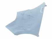 Kotflügel Links Vorne 631013304R Renault MASTER KASTEN L2H2 HKa 3.5t 125 CV / 92 KW