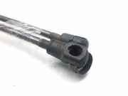 Gasdruckfedern Set Hinten 8200377199 Renault Scénic II (JM) Großraumlimousine 1.9 dCi 120 (F9Q-812)
