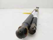 Gasdruckfedern Set Hinten 3M51R406A10AB Ford Focus C-Max Großraumlimousine 1.6 TDCi 16V Euro III (G8DA)