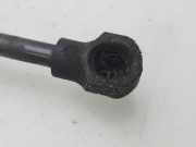 Gasdruckfeder Set Vorne 654704175R Dacia Dokker Express (8S) Van 1.5 dCi 90 (K9K-626(K9K-E6))