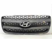 Grill E86561 Hyundai Santa Fe II SUV 2.2 CRDi 16V 4x2 (D4EB)