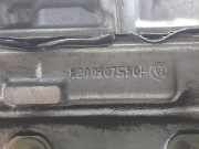 Zylinderkopf 8200307580F Renault Clio III (BR/CR) Schrägheck 1.4 16V (K4J-780)