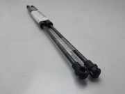 Gasdruckfedern Set Hinten 8200051750 Renault MEGANE II BERLINA 5P Authentique 82 CV / 60 KW