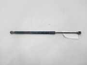 Gasdruckfedern Set Hinten FN1BN400A12AB Ford EcoSport (JK8) SUV 1.5 TDCi EcoBlue (XVJD)