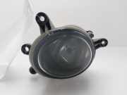 Nebelscheinwerfer Links Vorne 8E0941699 Audi A4 Cabriolet (B6) Cabrio 2.5 TDI 24V (BFC)
