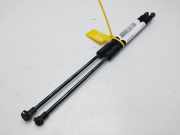 Gasdruckfedern Set Hinten 9813177780 Citroën C3 (SX/SW) Schrägheck 1.2 Vti 12V PureTech (EB2FA(HMR))