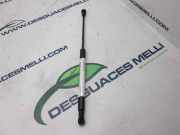 Gasdruckfeder Set Vorne 8200130187 Renault SCENIC II Privilege 112 CV / 82 KW